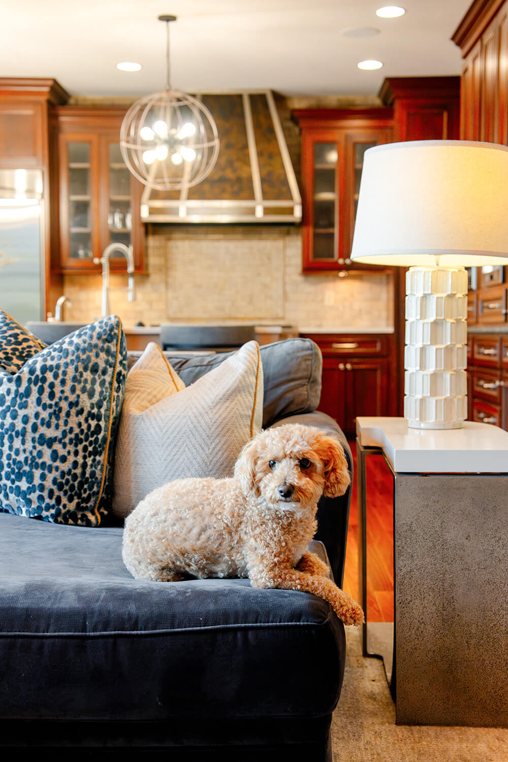design-by-your-side-family Living area details with puppy on the couch